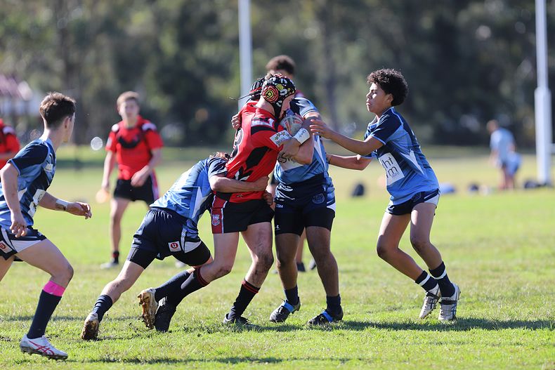 Buckley Shield ENDEAVOUR v ILLAWARRA
