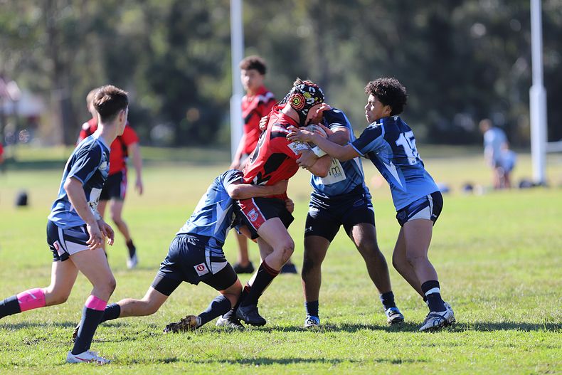Buckley Shield ENDEAVOUR v ILLAWARRA