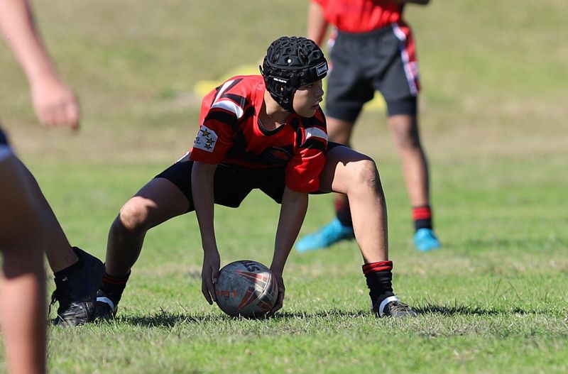 Buckley Shield ENDEAVOUR v ILLAWARRA