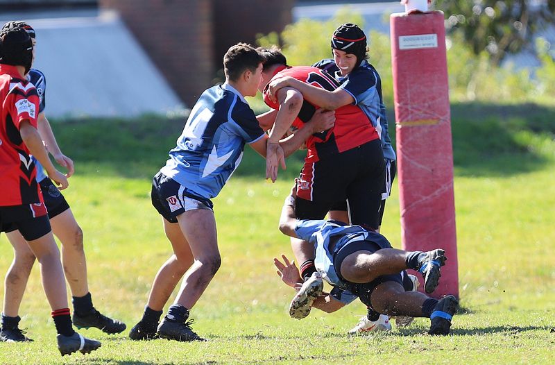Buckley Shield ENDEAVOUR v ILLAWARRA