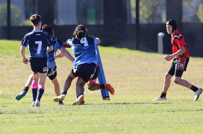 Buckley Shield ENDEAVOUR v ILLAWARRA