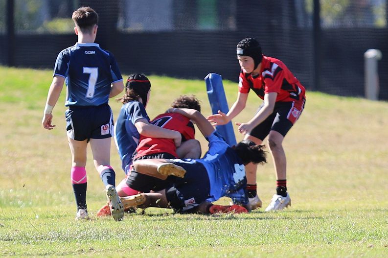 Buckley Shield ENDEAVOUR v ILLAWARRA