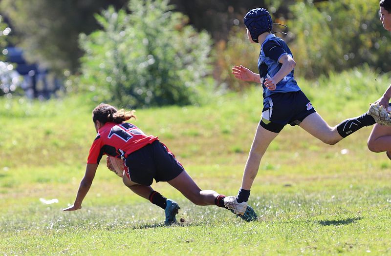 Buckley Shield ENDEAVOUR v ILLAWARRA