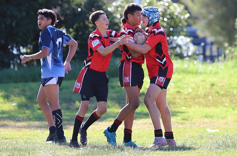 Buckley Shield ENDEAVOUR v ILLAWARRA