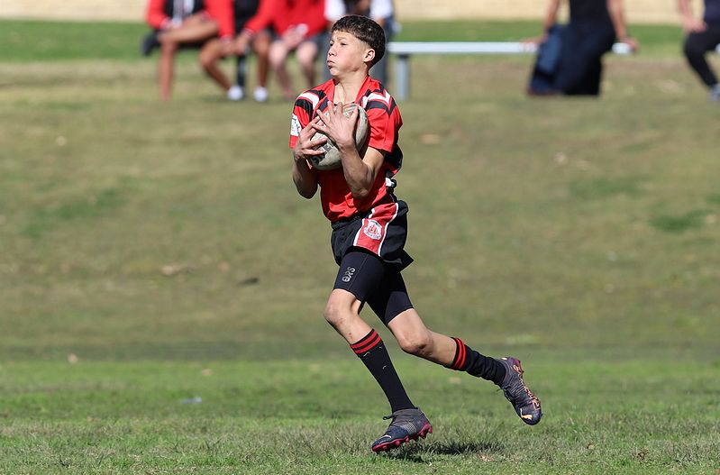 Buckley Shield ENDEAVOUR v ILLAWARRA