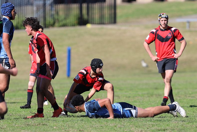 Buckley Shield ENDEAVOUR v ILLAWARRA