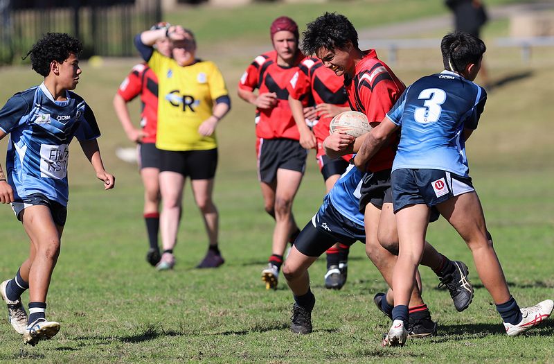 Buckley Shield ENDEAVOUR v ILLAWARRA