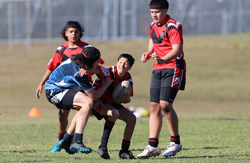 Buckley Shield ENDEAVOUR v ILLAWARRA