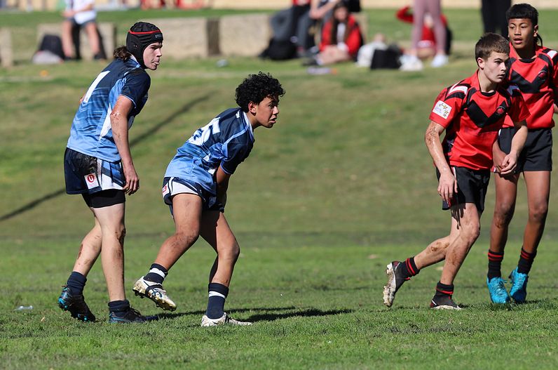 Buckley Shield ENDEAVOUR v ILLAWARRA