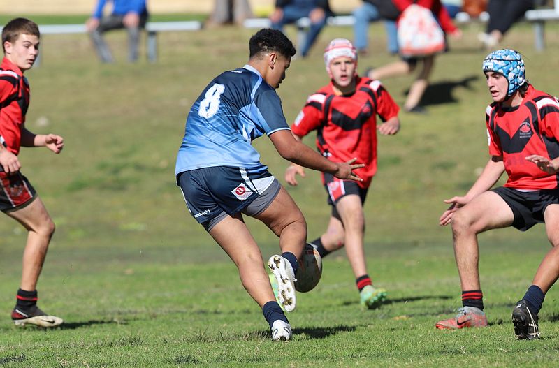 Buckley Shield ENDEAVOUR v ILLAWARRA