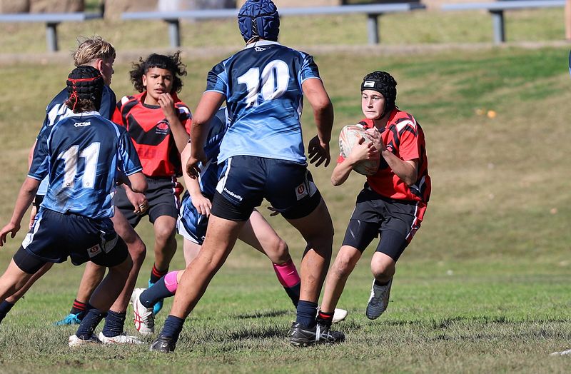 Buckley Shield ENDEAVOUR v ILLAWARRA