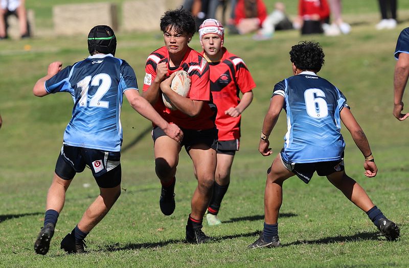 Buckley Shield ENDEAVOUR v ILLAWARRA