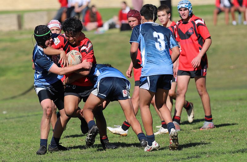 Buckley Shield ENDEAVOUR v ILLAWARRA