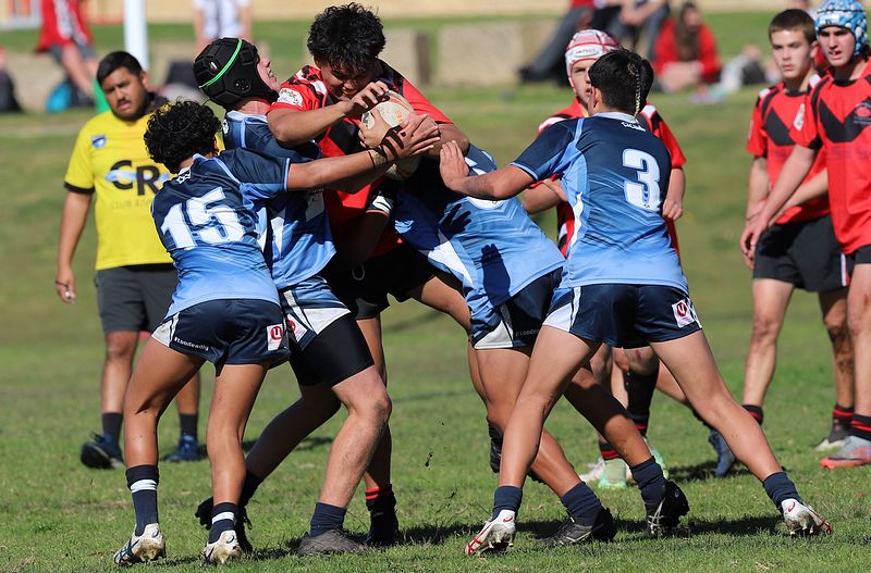 Buckley Shield ENDEAVOUR v ILLAWARRA