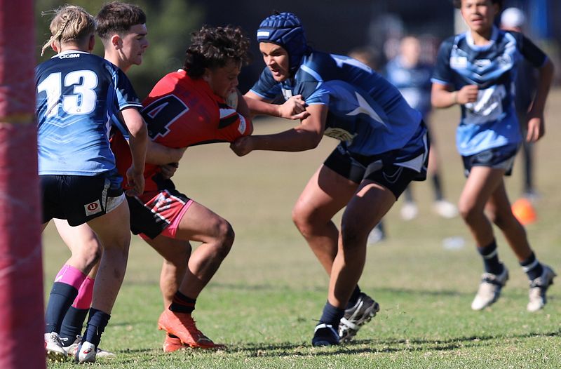 Buckley Shield ENDEAVOUR v ILLAWARRA
