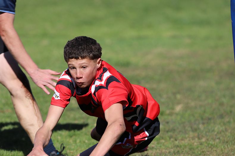 Buckley Shield ENDEAVOUR v ILLAWARRA