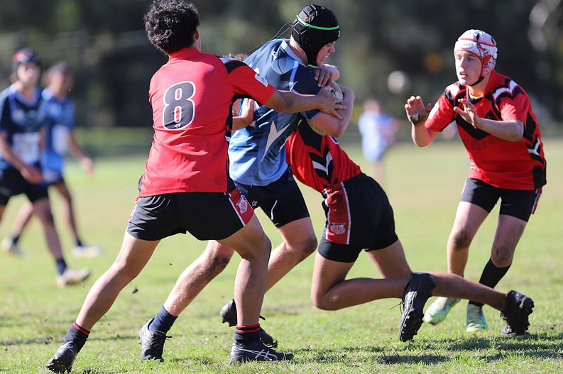 Buckley Shield ENDEAVOUR v ILLAWARRA