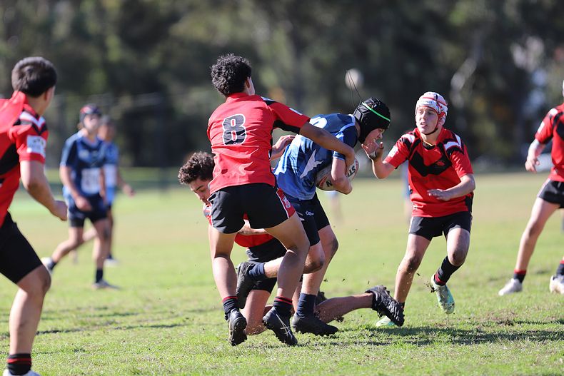 Buckley Shield ENDEAVOUR v ILLAWARRA