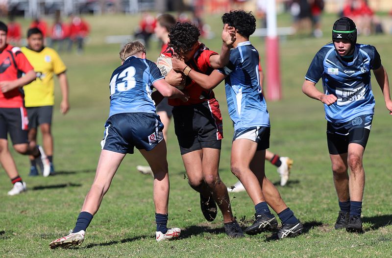 Buckley Shield ENDEAVOUR v ILLAWARRA