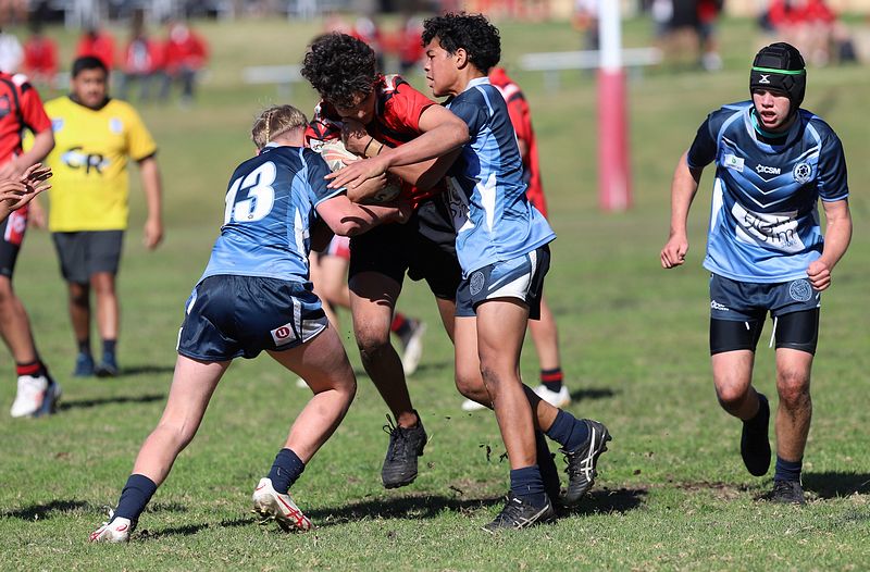Buckley Shield ENDEAVOUR v ILLAWARRA