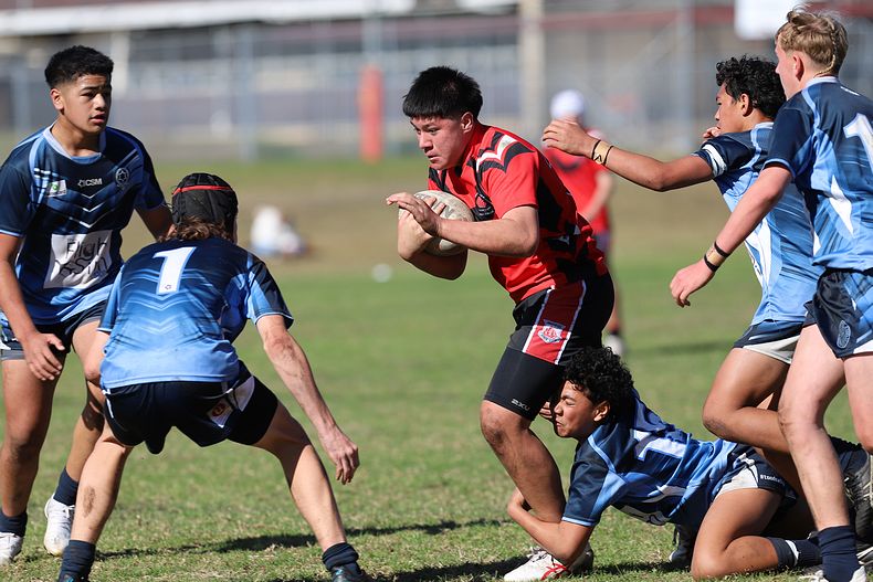 Buckley Shield ENDEAVOUR v ILLAWARRA