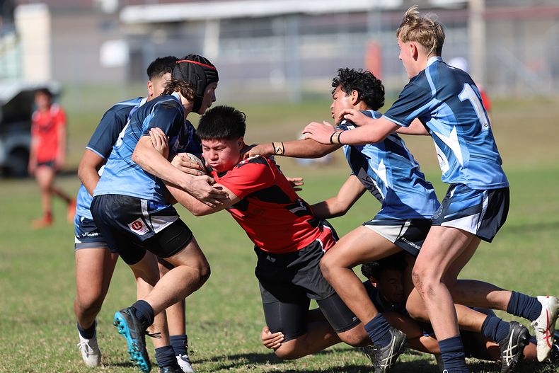 Buckley Shield ENDEAVOUR v ILLAWARRA