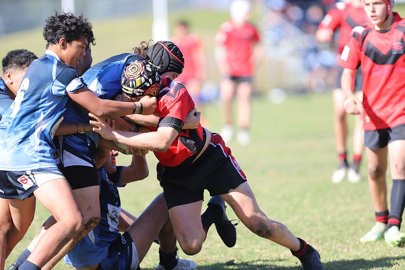 Buckley Shield ENDEAVOUR v ILLAWARRA