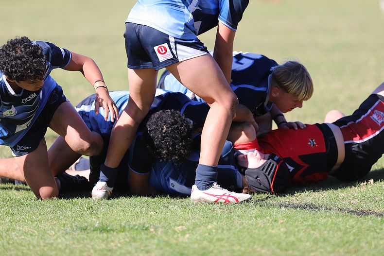 Buckley Shield ENDEAVOUR v ILLAWARRA