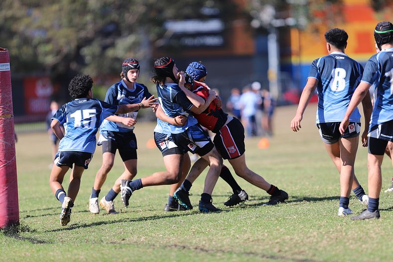 Buckley Shield ENDEAVOUR v ILLAWARRA