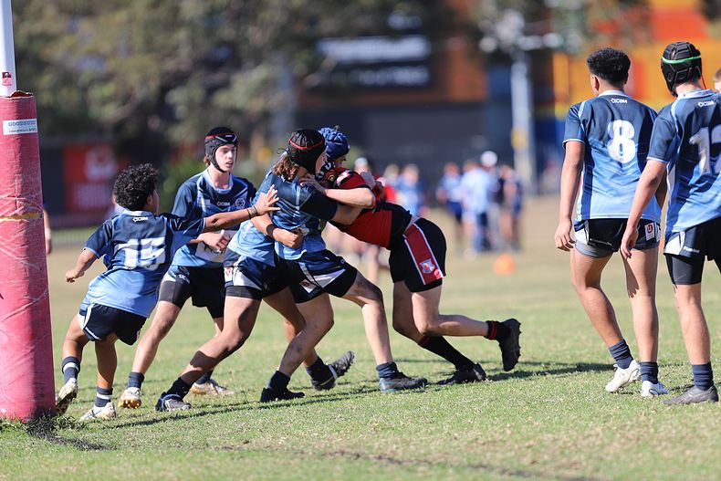 Buckley Shield ENDEAVOUR v ILLAWARRA