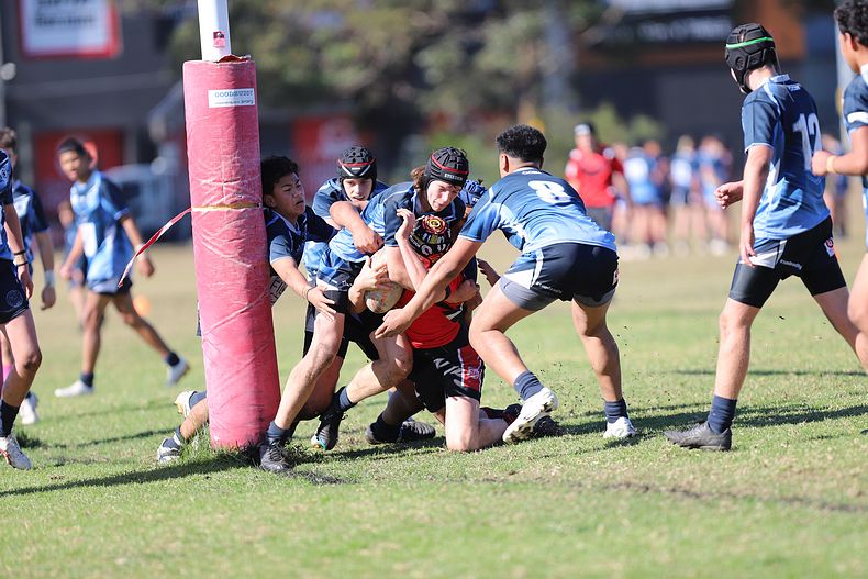 Buckley Shield ENDEAVOUR v ILLAWARRA