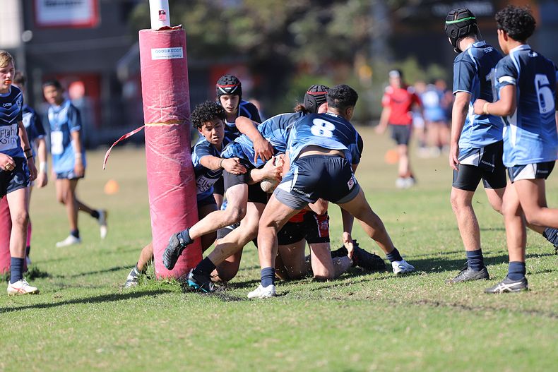 Buckley Shield ENDEAVOUR v ILLAWARRA
