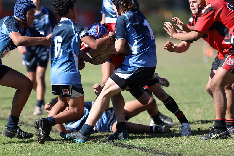 Buckley Shield ENDEAVOUR v ILLAWARRA