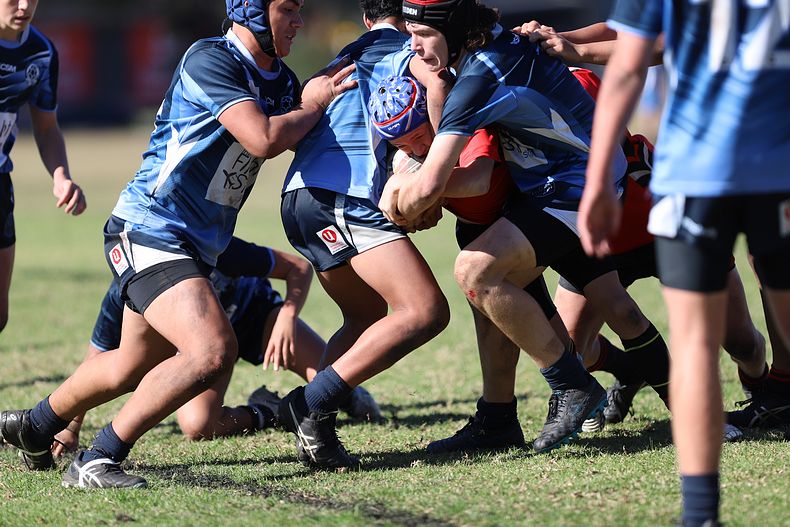 Buckley Shield ENDEAVOUR v ILLAWARRA