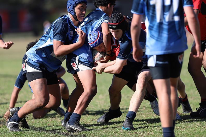 Buckley Shield ENDEAVOUR v ILLAWARRA