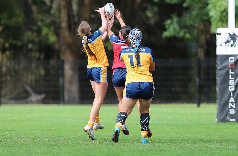 u16 Schoolgirls D1 RED v GOLD
