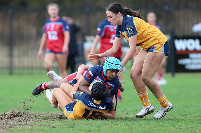 u16 Schoolgirls D1 RED v GOLD