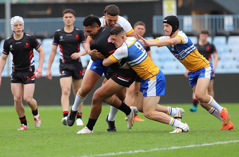 SBC ENDEAVOUR v PATRICIAN Bros