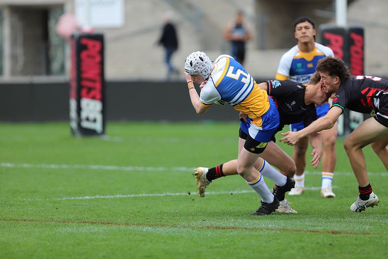 SBC ENDEAVOUR v PATRICIAN Bros