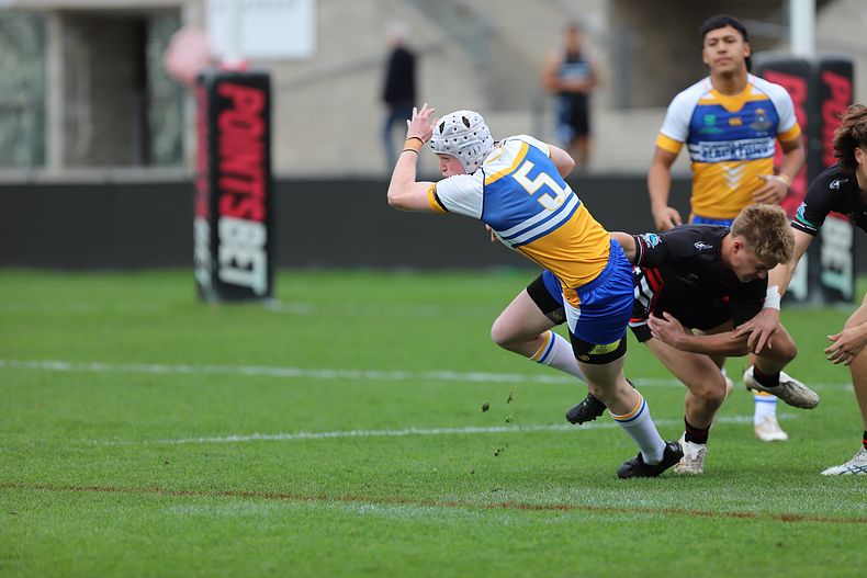 SBC ENDEAVOUR v PATRICIAN Bros