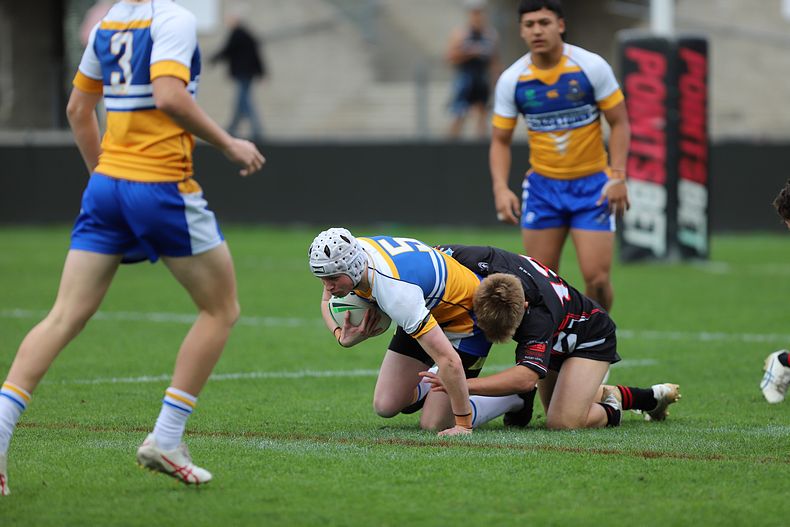 SBC ENDEAVOUR v PATRICIAN Bros