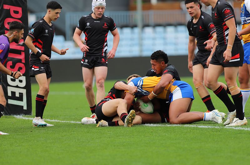 SBC ENDEAVOUR v PATRICIAN Bros