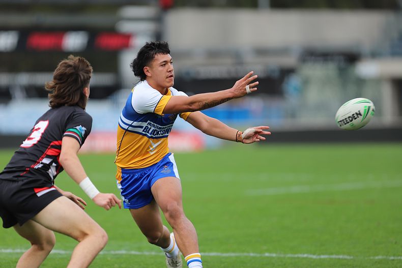 SBC ENDEAVOUR v PATRICIAN Bros