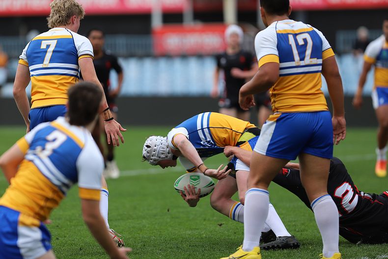 SBC ENDEAVOUR v PATRICIAN Bros
