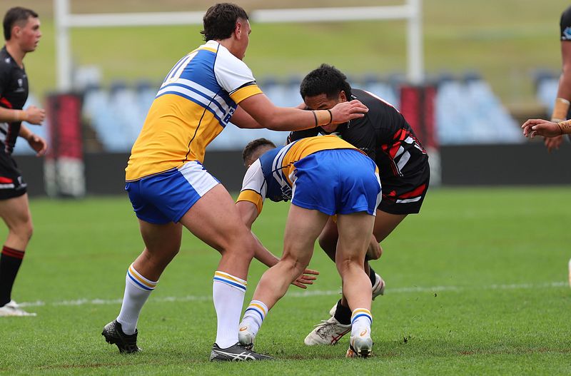 SBC ENDEAVOUR v PATRICIAN Bros