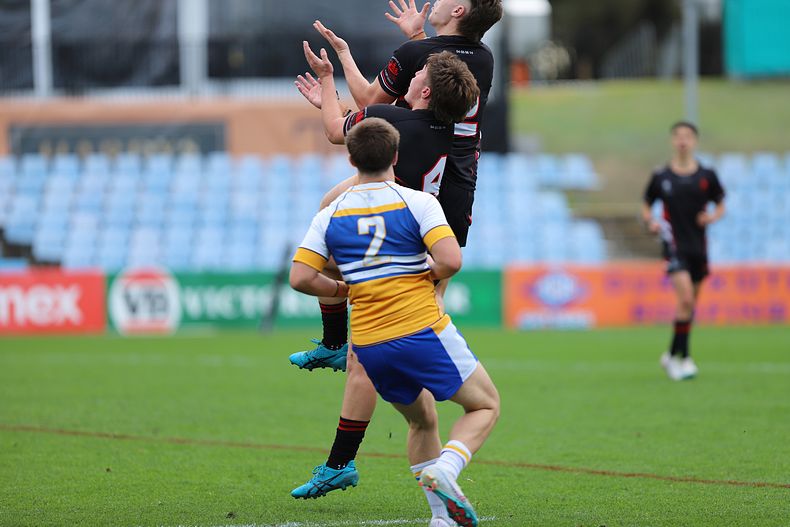 SBC ENDEAVOUR v PATRICIAN Bros