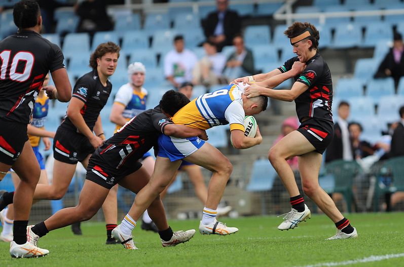 SBC ENDEAVOUR v PATRICIAN Bros