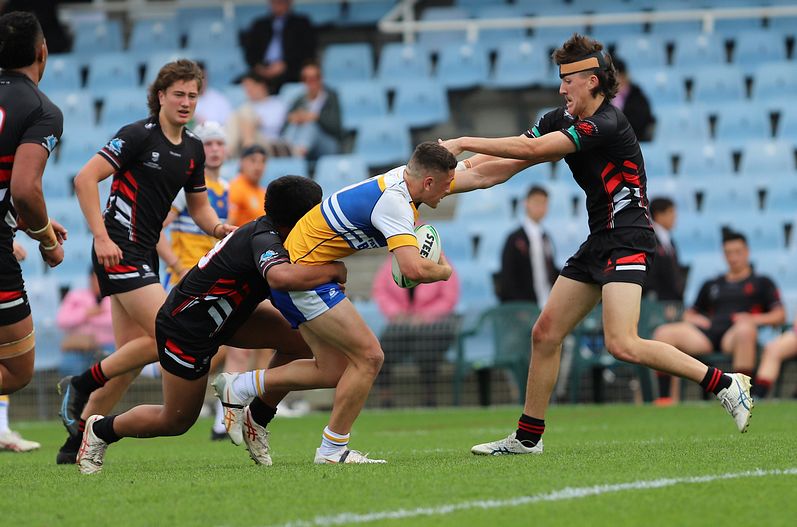 SBC ENDEAVOUR v PATRICIAN Bros