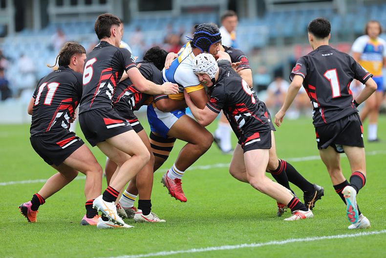 SBC ENDEAVOUR v PATRICIAN Bros