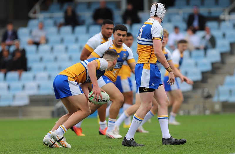 SBC ENDEAVOUR v PATRICIAN Bros